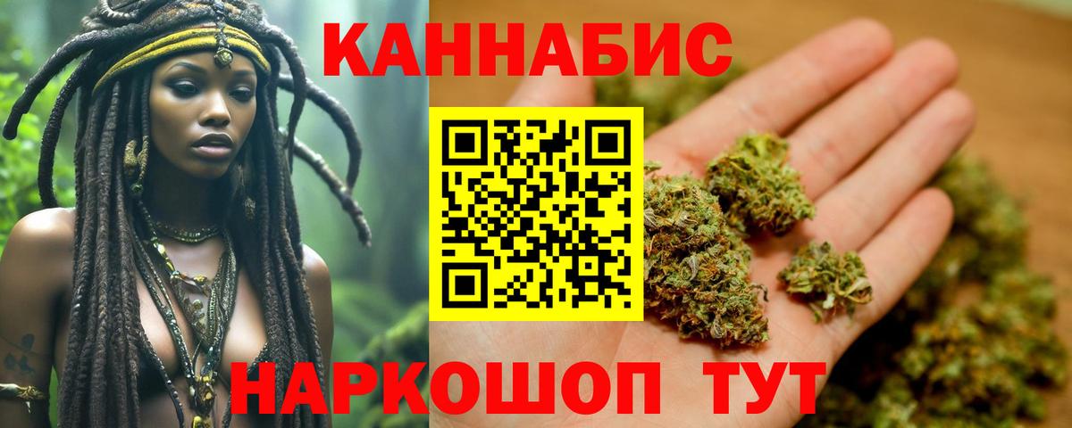 Канабис сатива Сальск