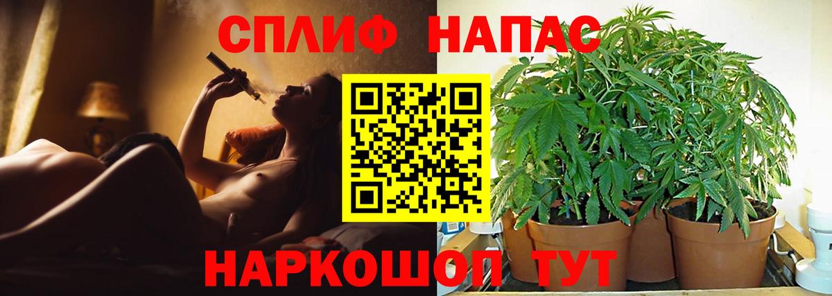 Сальск  Бошки марихуана Amnesia  Бошки Шишки семена  Конопля MAZAR  Вход с VPN 